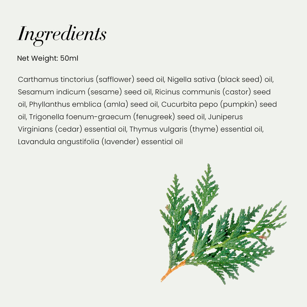 
                      
                        12 HAIR FOLLICLE TREATMENT x2
                      
                    