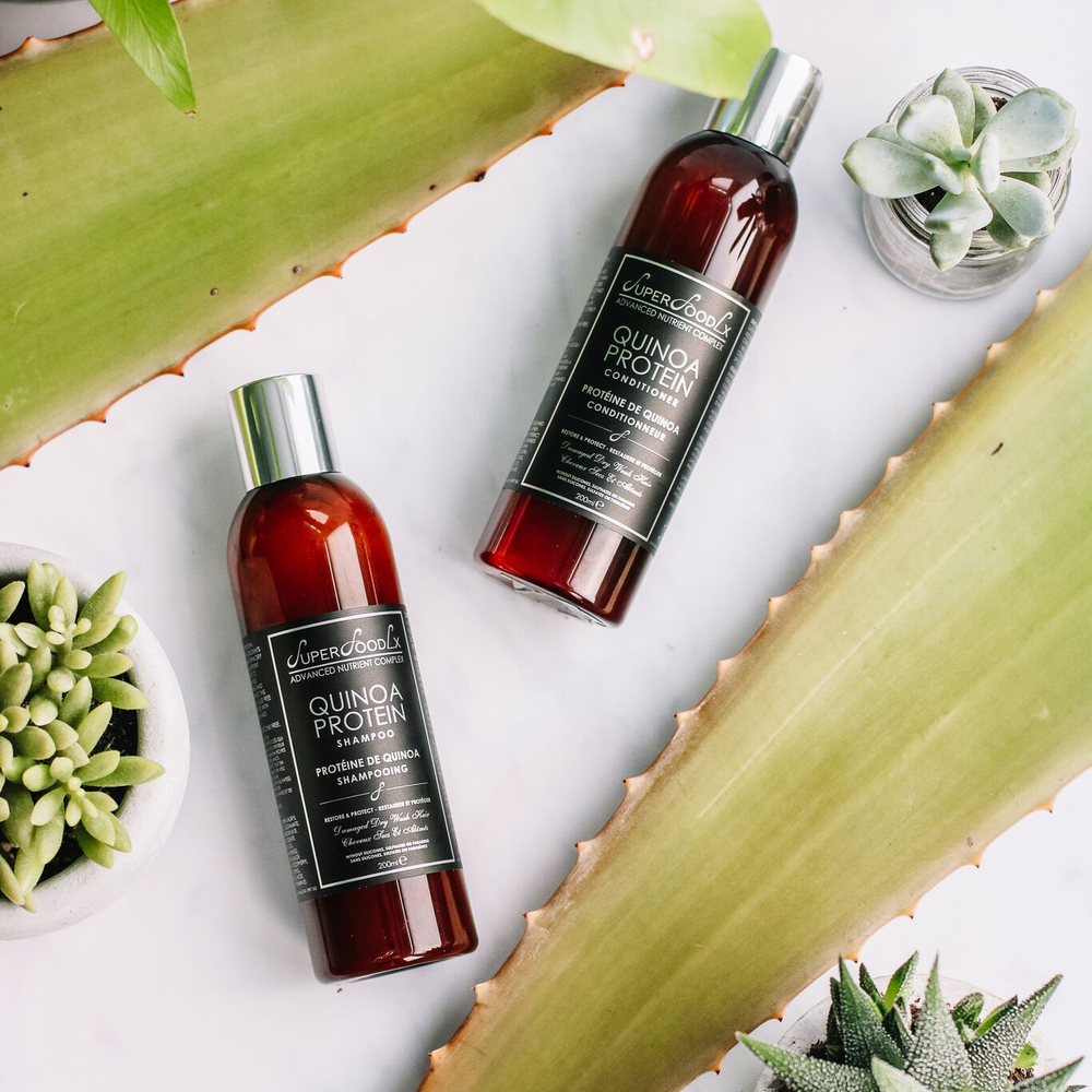 
                      
                        QUINOA SHAMPOO AND CONDITIONER
                      
                    